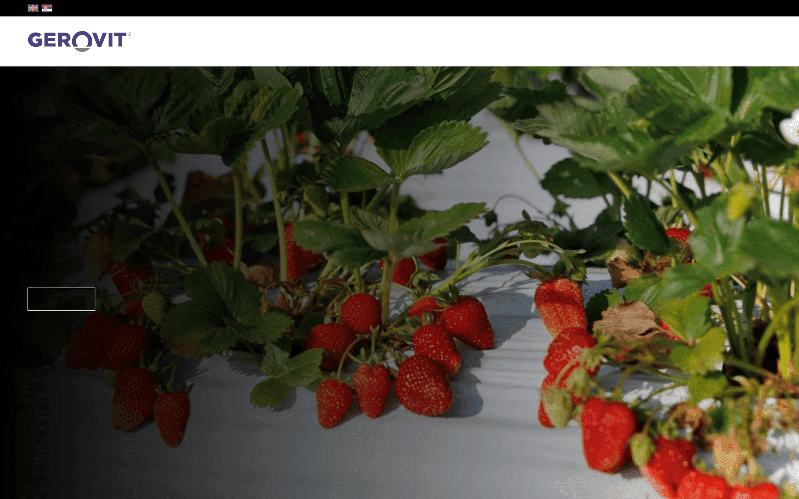 Screenshot des Projekts Gerovit